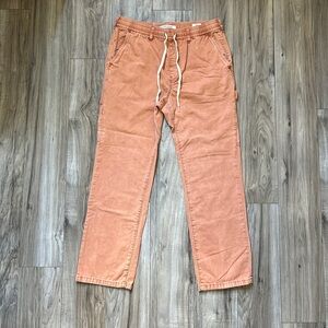 PacSun Salmon Slim Cargo Pants